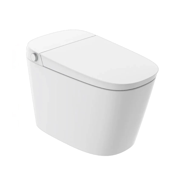 Smart Toilet H59